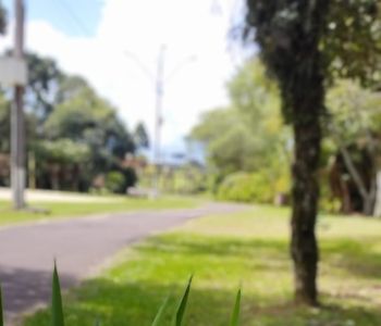 Parque da Gruta recebe manutenção e segue como destino de lazer em Palmas