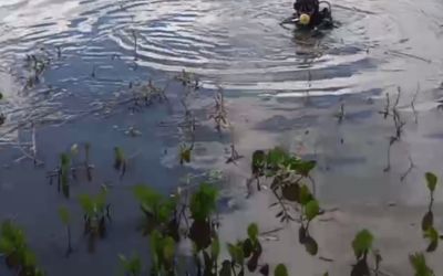 Corpo de Bombeiros de Palmas encontra corpo de morador na Lagoa do Bairro Hipica