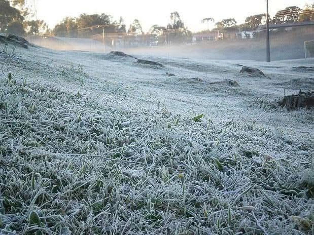 -5°C. Geada e frio intenso marcam quarta-feira em Palmas, no Sul do Paraná