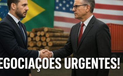 Indústria madeireira de Palmas alerta para risco de colapso com nova taxa de 50% dos EUA